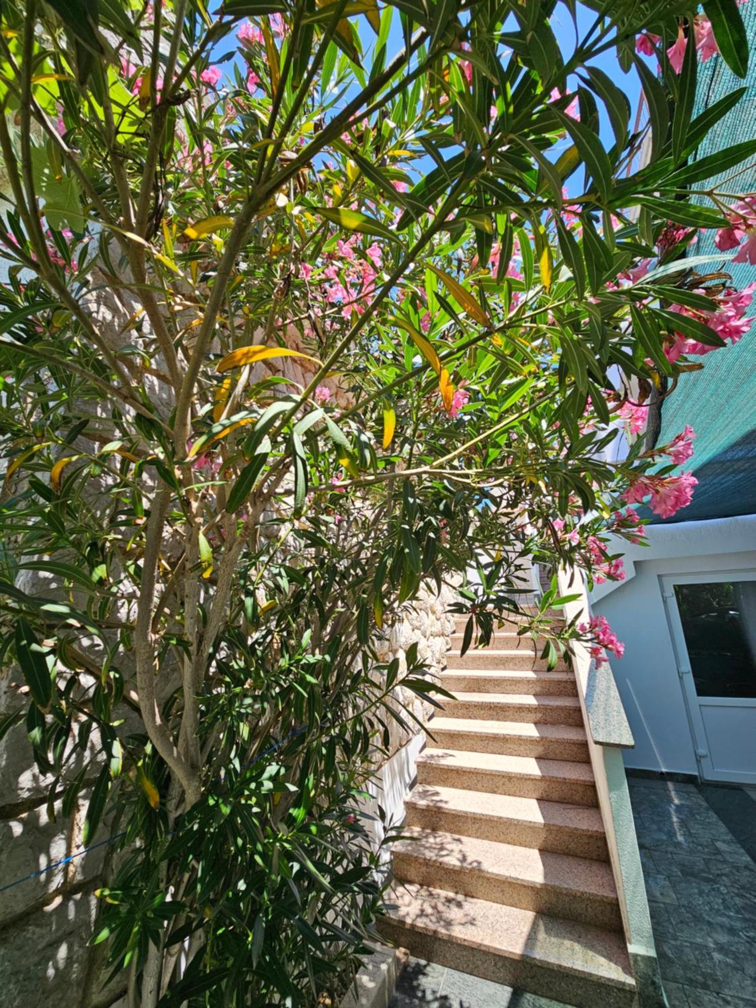 Apartments Bahar Krk Krk Town Luaran gambar